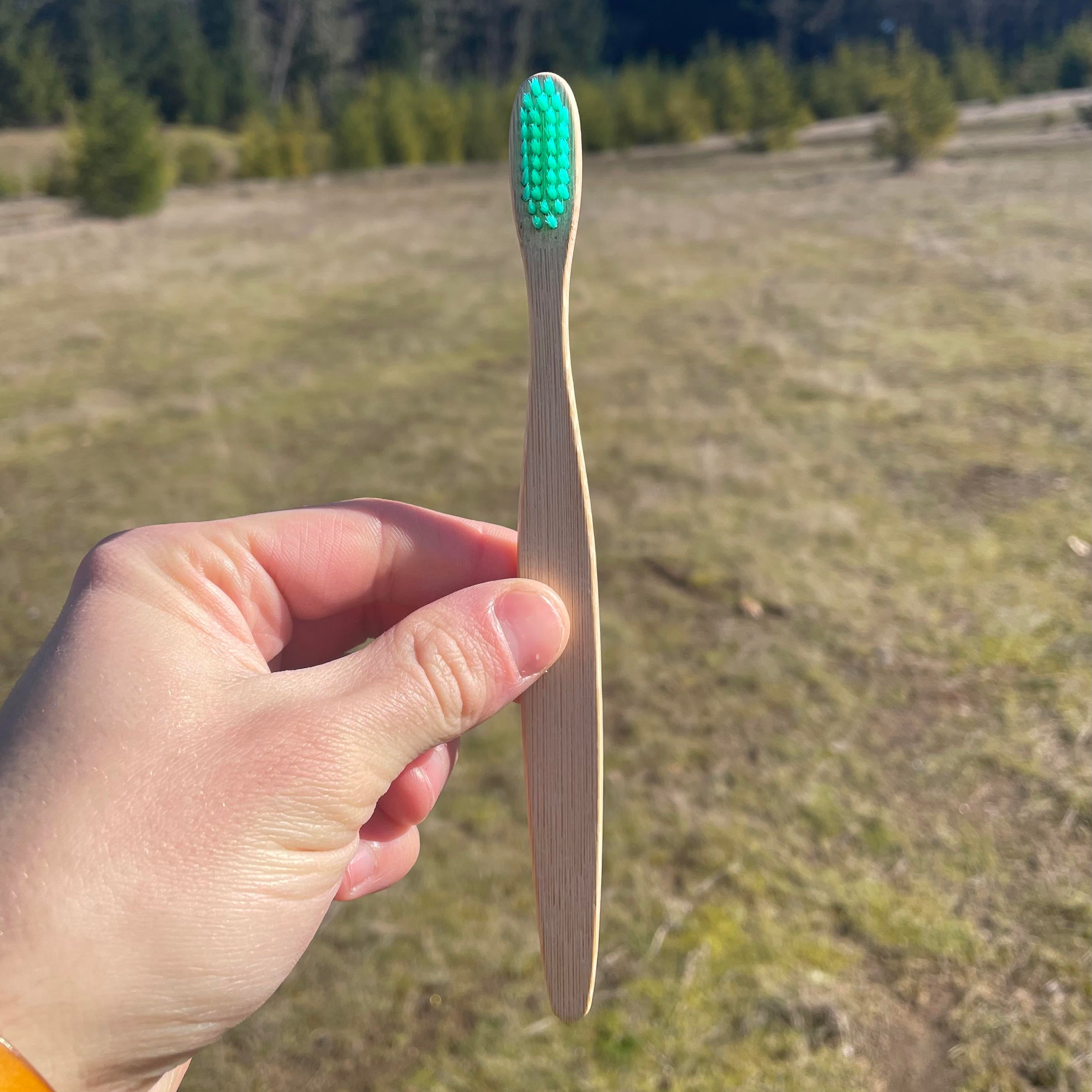 Bamboo toothbrush in nature